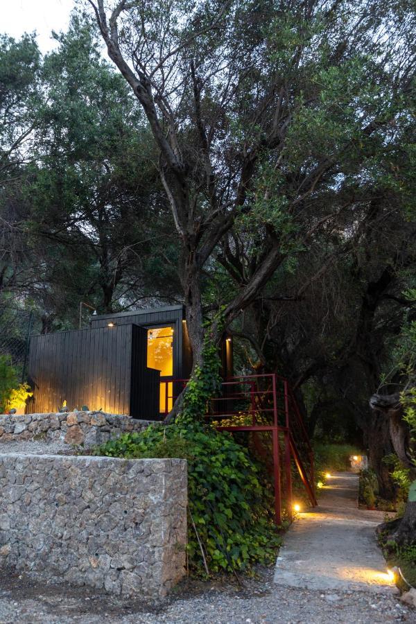 Appartement Paleokastritsa Red Gate Flat Extérieur photo